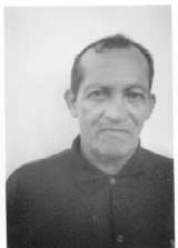Pixito Laranjeira
