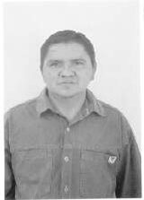 Chaulim