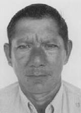 Catuaba
