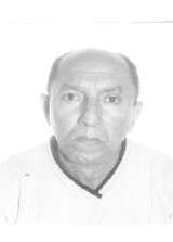 Dadai