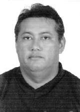 Perereca