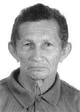 Nestor