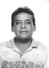 Mauro