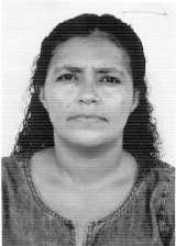 Professora Zil