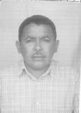 Alcides