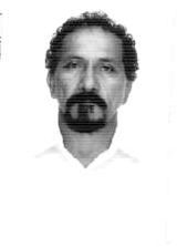 Gavião