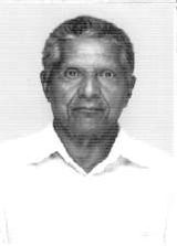 Nogueira