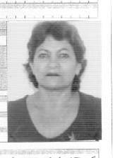 Maria Guedes