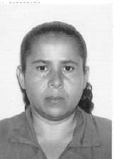 Luzinete