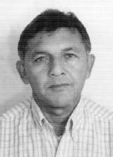 Lírio