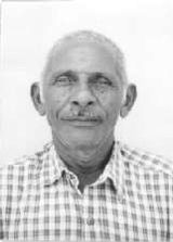 Nelson