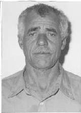 Zé Braulino