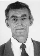 Adolfo Pelegrini