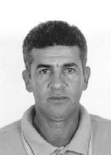 Zé Ribeiro