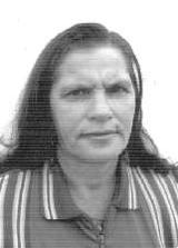Zau