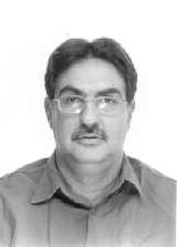Nagib Neto