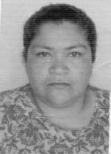 Zenólia