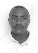 Bolo