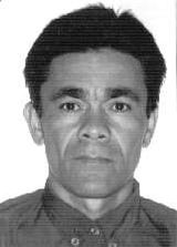 Gui de Donaldo