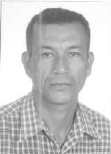 Grilo Sapateiro