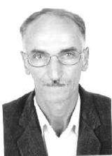 Elsão