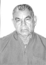 Zé Nogueira