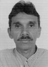 Aderaldo Lima O Pop