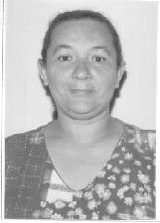 Rosa Flor
