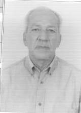 Dario Feijo