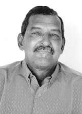 João Domingo