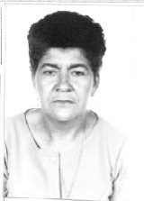 Mimica