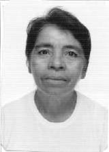 Rosinha