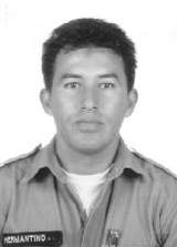 Hermantino