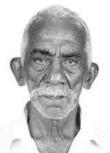 Bigode