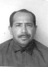 Amadeu
