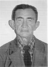 Mulico