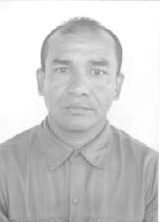 Gerson