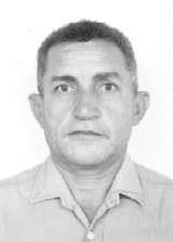 Abelha