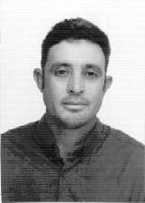 Lauro