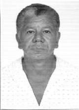 Zé Cachueira