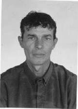 Galego de Henrique