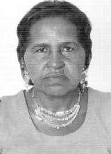 Graciola Benzedeira