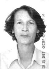 Ló