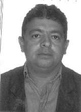 Pardal