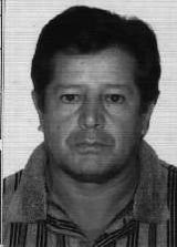 Dito Alfredo
