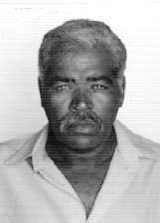 Dunga do Pombal
