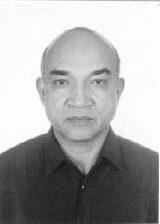 Prof. Sisino