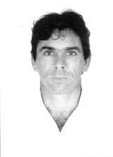 Elvio Boato