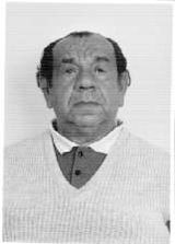 Amarilio