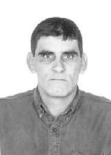Gavião
